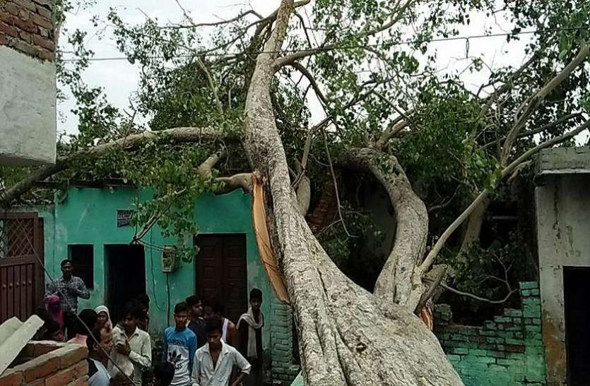 dust storm अगले 48 घंटे में फिर आ सकता है खरतनाक तूफान , अबतक 114 लोगों की मौत