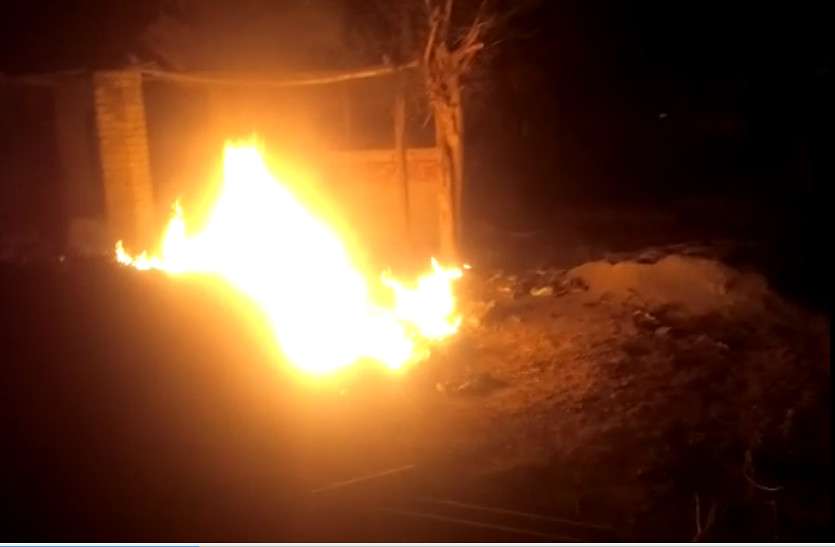 fire अचानक उठी आग ने सैकड़ों पेड़-पौधों को जलाकर किया खाक