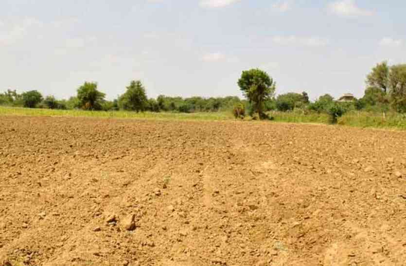 Greenry at Ram of fields खेतों की मेढ़ पर छाएगी हरीयाली, मिलेगा अनुदान