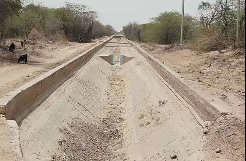 Jaisalmer patrika JAISALMER NEWS- भीषण गर्मी में पानी का टोटा बन रहा पशुधन की मौत का कारण