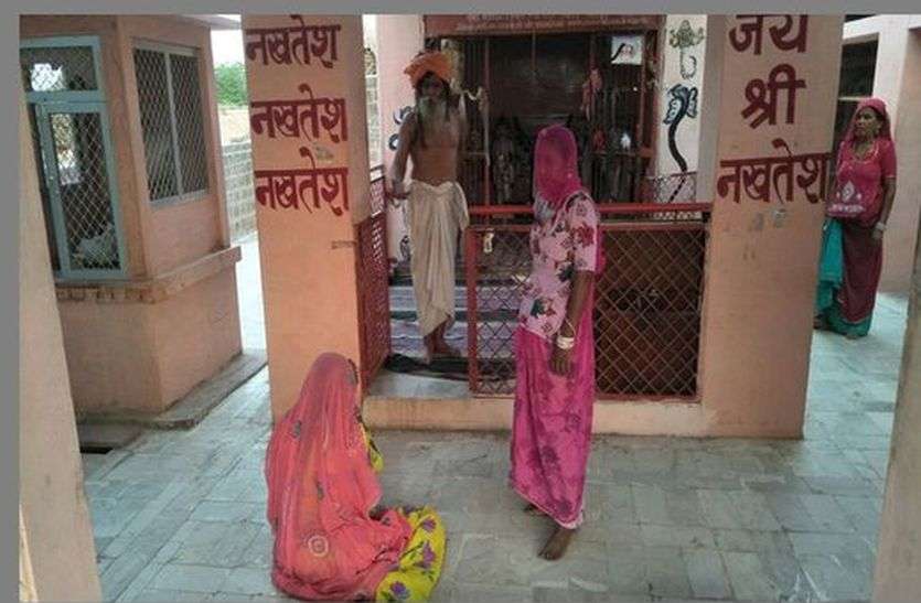 The snake has been sticking सांप ने काटा, झाड़-फूंक के लिए अड़ी रही, आखिर जाना पड़ा अस्पताल