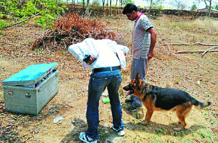 chhattisgarh news रात के अंधेरे में उड़ा ले गए लाखों के जेवरात, सोता रहा परिवार