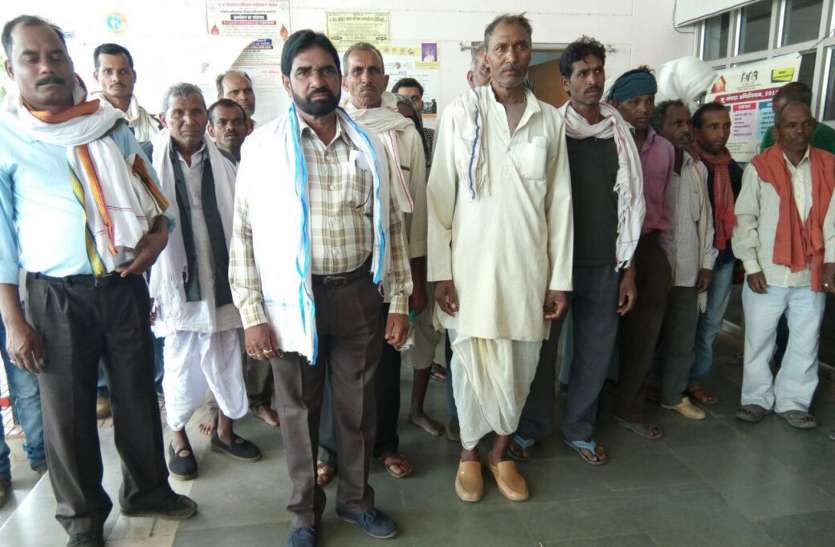 Dying of thirsty cattle प्यास से हो रही मवेशियों की मौत