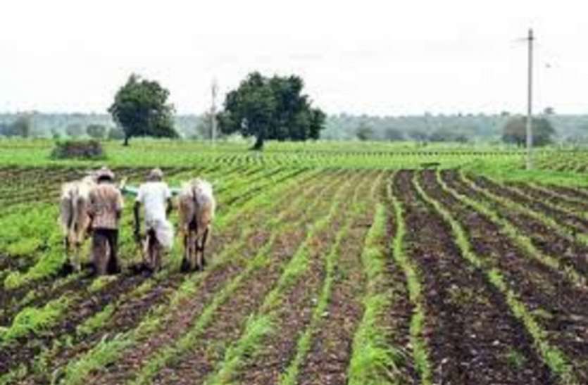 Farmers will go on tour abroad, China will learn new techniques of farming किसान विदेश यात्रा पर जाएंगे चीन, सीखेगें खेती की नई तकनीक