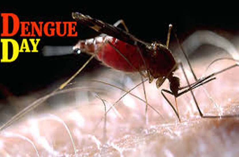 a story on national dengue day डेंगू दिवस पर विशेष: अगर दिखाई दें ये लक्षण, तो तुरंत दिखाएं डाक्टर को