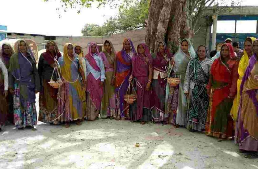 Pratapgarh पक्षियों के लिए महिलाएं आगे आईं
