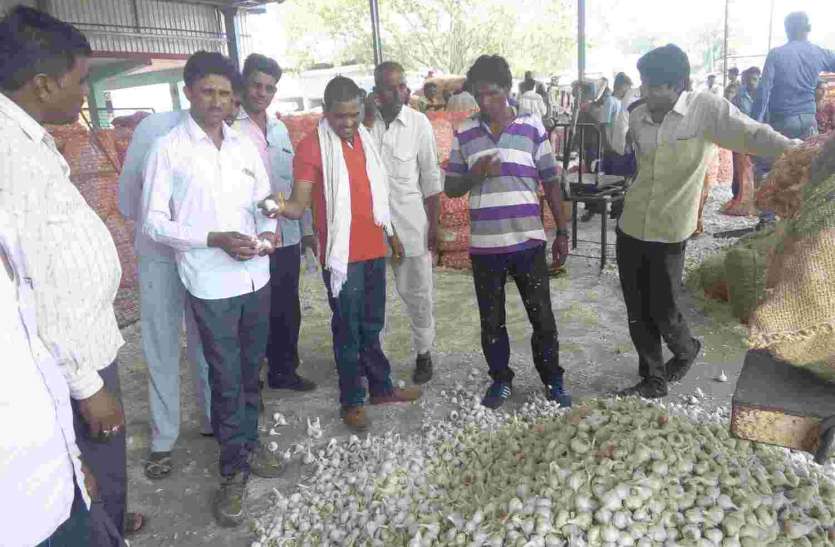 Pratapgarh सरकारी खरीद से बढ़ी आस