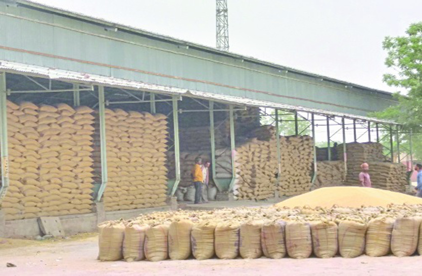 wheat mandi हड़ताल के कारण शुरू नहीं हुआ उठाव कार्य