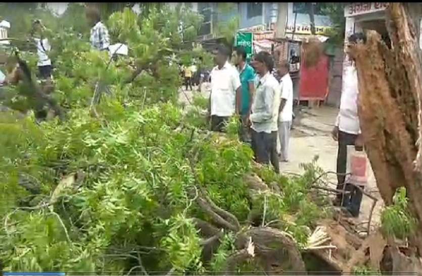 करौली. टोडाभीम में बौंल गांव के जंगलों में पन्द्रह दिन पहले चरवाहे को गोली मारकर की गई हत्या के मामले में पुलिस ने एक और आरोपित को गिरफ्तार किया है। थानाधिकारी रघुवीरसिंह ने बताया कि आरोपित बालूराम उर्फ महेन्द्र पुत्र मनोहरी गुर्जर निवासी जलालपुर को गाजीपुर मोड़ से गिरफ्तार किया है। मामले में मृतक धर्माराम निवासी मूंडवा जिला नागौर के भाई महेन्द्रसिंह ने प्राथमिकी दर्ज करा रखी थी। इधर, दहेज प्रताडऩा के आरोप मेें सास गिरफ्तार हिण्डौनसिटी में दहेज प्रताडऩा के आरोप में पुलिस ने कार्रवाई करते हुए आरोपित सास को गिरफ्तार किया है। थानाप्रभारी अध्यात्म गौतम ने बताया कि हिण्डौन के मोहननगर निवासी भावना पत्नी प्रवीण जाट ने १८ अगस्त १७ को दहेज प्रताडऩा की रिपोर्ट दर्ज कराई थी, जिसमें झुंझुनूं के पिलानी की सास सुशीला पत्नी धर्मपाल जाट को भी नामजद किया था। पुलिस ने आरोपित सास को गिरफ्तार किया है। छुरा लेकर घूमते एक गिरफ्तार श्रीमहावीरजी छुरा लेकर घूम रहे युवक को श्रीमहावीरजी पुलिस ने गिरफ्तार किया है। अकबरपुर का सोनू उर्फ सोनुद्दीन मुसलमान कस्बे में छुरा लेकर घूम रहा था। पुलिस ने मौके पर पहुंच उसे गिरफ्तार कर कर लिया। एक अन्य कार्रवाई में हिण्डौन पुलिस ने वैर के टूडापुरा निवासी दशरथ मीणा को शांति भंग में गिरफ्तार किया है। क्रिकेट प्रतियोगिता आज से, मिलेगा नकद पुरस्कार खिजूरी (हिण्डौनसिटी). जय बजरंग क्रिकेट क्लब के तत्वावधान में मंगलवार से खिजूरी गांव में क्रिकेट प्रतियोगिता होगी। व्यवस्थापक रमन डागुर एवं भाग्य सिंह डागुर ने बताया कि प्रतियोगिता की विजेता टीम को २१ हजार एवं उपविजेता टीम को ११ हजार रुपए का पुरस्कार दिया जाएगा। आयोजकों ने बताया कि प्रतियोगिता की तैयारी पूरी कर ली गई है। विभिन्न टीमें शामिल ले रही है। दानपेटी में निकले ५.२५ लाख गुढ़ाचन्द्रजी. श्रीघटवासन मानव हितकारी विकास समिति कार्यकारिणी सदस्यों ने प्रशासन की उपस्थिति में रविवार शाम मंदिर में रखी दानपेटी को खोला। जिसमें सवा पांच लाख रुपए निकले।करीब एक घंटे तक रुपए की गिनती की गई। पूर्व सरपंच रामखिलाड़ी तिमावा की अध्यक्षता में समिति कोषाध्यक्ष रामेश्वर मीना, प्रधानाचार्य रामहरी भोपुर, रामोतार मोहनपुरा, मंत्री ल्होड्च्या राम, मुनीम घाटौली, अध्यापक बत्तीलाल मीना, रामभरोसी दलपुरा ने प्रशासन की ओर से आए महेन्द्र मीना व पुलिसकर्मियों की उपस्थिति में दानपेटी खोली। दान में मिली राशि को मंदिर समिति सदस्यों ने माताजी के बैंक खाते में जमा करा दिए। इस मौके पर विधायक घनश्याम महर, सचिव घासी घाटौली, बनवारी गोयल, कुंजीलाल, विनोद उपस्थित रहे। राजस्थान: पुलिस-प्रशासन नहीं रोक पा रहे पेड़ों की कटाई, हरी—भरी मोटी लकडियों को ये कर रहे ट्रकों के जरिए सप्लाई