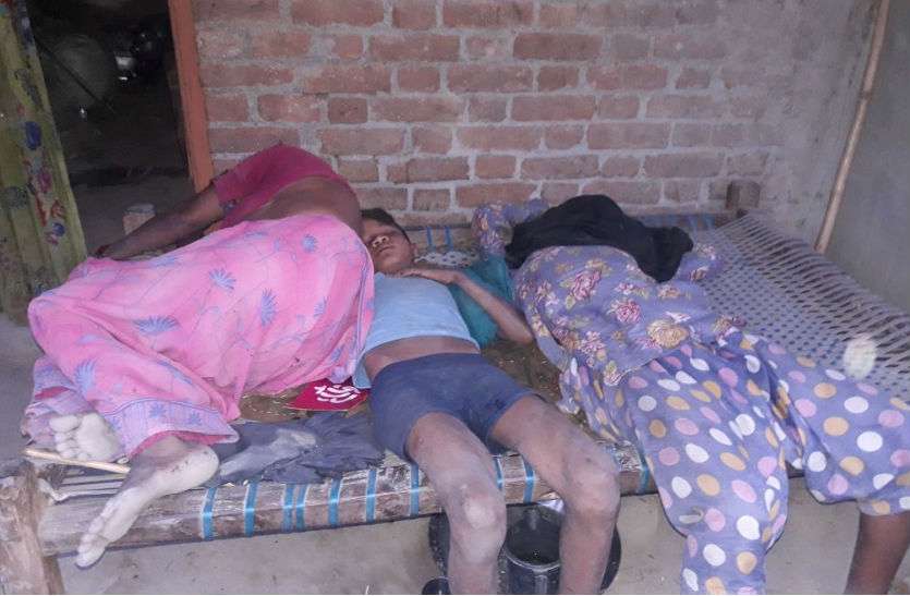 seven members of a family fainted शहद खाने से एक ही परिवार के सात लोग बीमार