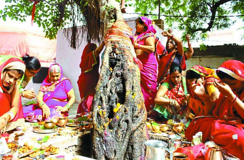 Vat Savitri Vrat सुहागिनों ने मांगी पति की लंबी उम्र,की बरगद के पेड़ की पूजा-अर्चना