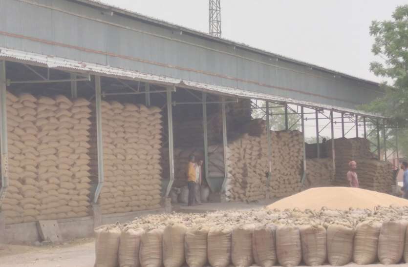 dhan mandi धीमे उठाव पर मजदूर संघ ने जताई नाराजगी