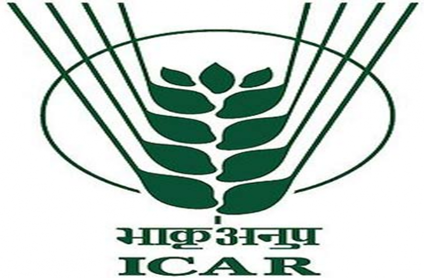 icar ICAR में SRF व यंग प्रोफेशनल के पदाें पर निकली वैकेंसी, करें आवेदन