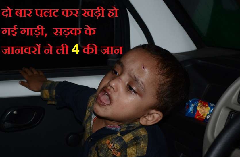 road accident दो बार पलट कर खड़ी हो गई गाड़ी, सड़क के जानवरों ने ली 4 की जान