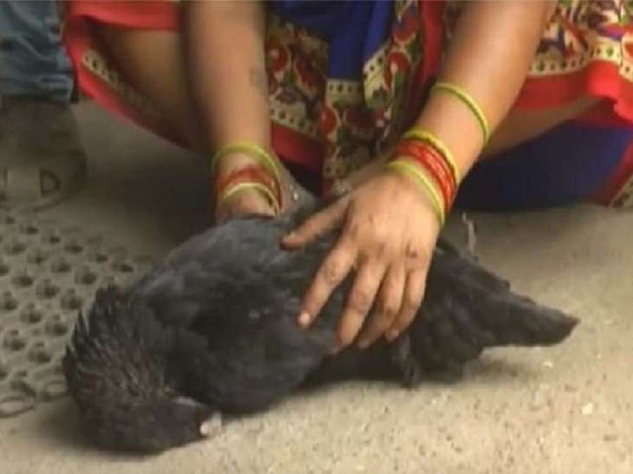 murder,threat to life,hen news,postmartem,Police case. Police,hen murder,