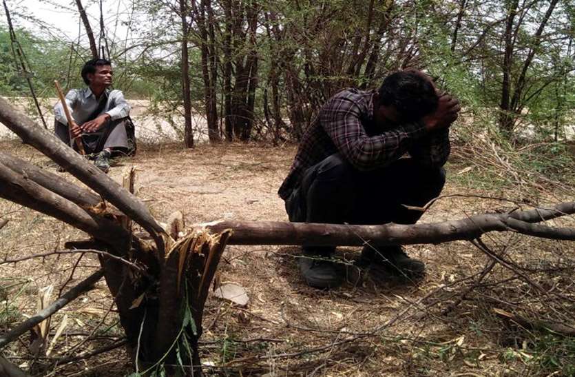 Electrician शटडाउन लेने की बात कह नहीं की बिजली बंद, 33 केवी. लाइन पर कार्य करने के दौरान गिरा लाइनमैन