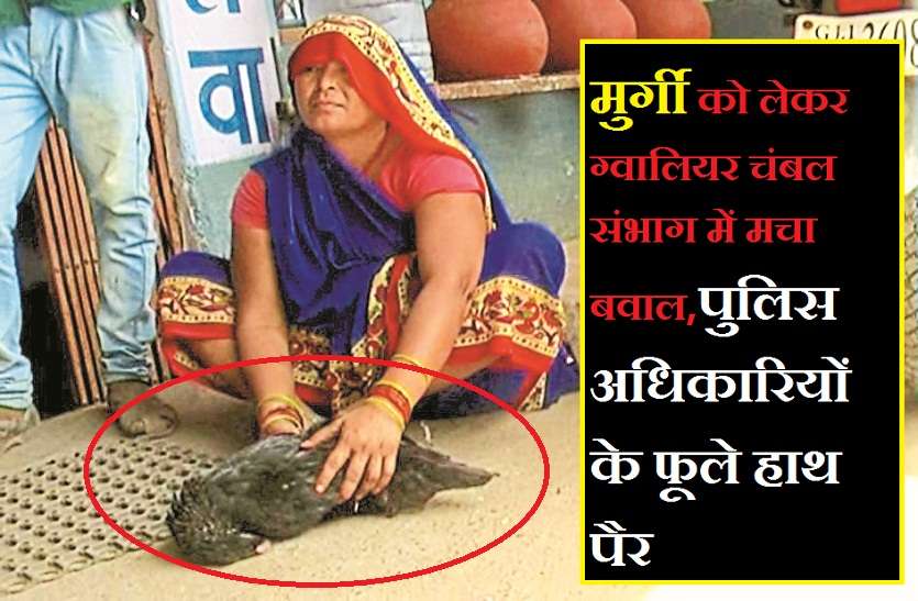 hen murder case मुर्गी को लेकर ग्वालियर चंबल संभाग में मचा बवाल,पुलिस अधिकारियों के फूले हाथ पैर