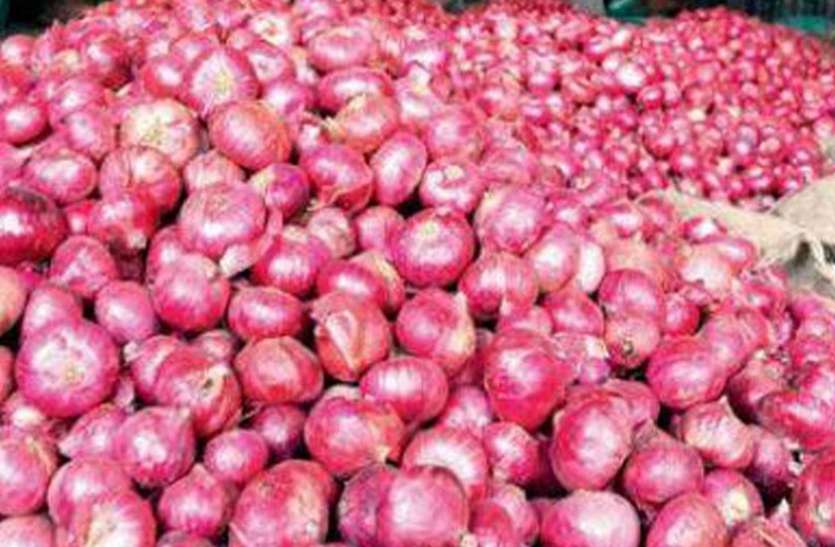 onion चिकबल्लापुर में ‘बेंगलूरु गुलाबी’ प्याज का बंपर उत्पादन