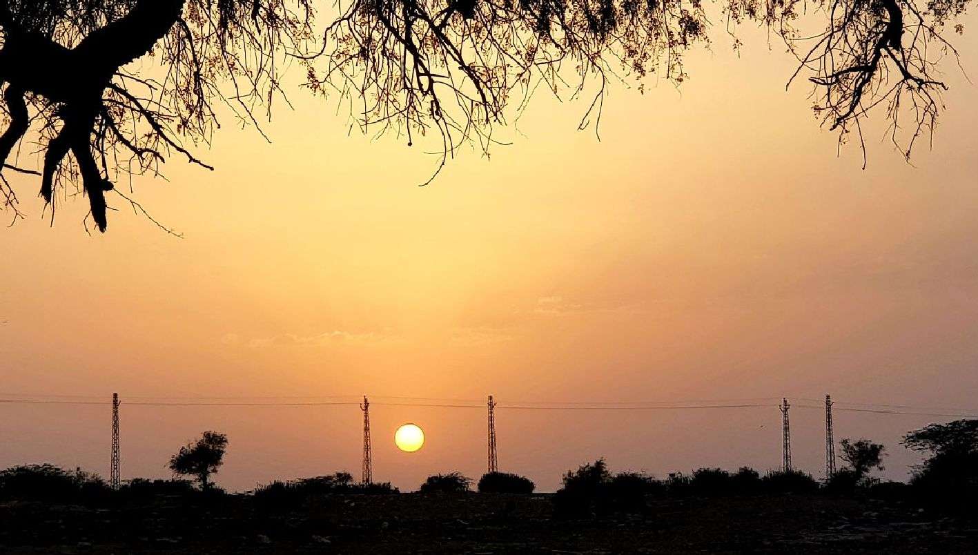 Jaisalmer patrika