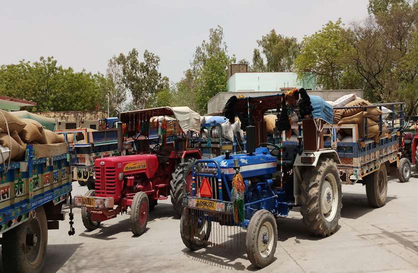 Tractor trolleys समर्थन मूल्य खरीद केन्द्र पर उमड़ रहे किसान, जिन्स से लदे ट्रैक्टर-ट्रालियों की लग रही कतारे