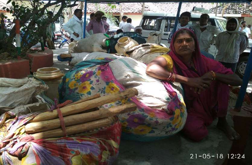 For two and a half months the Forest ढाई माह से वन विभाग ने नहीं दी मजदूरी, पढि़ए पूरी खबर