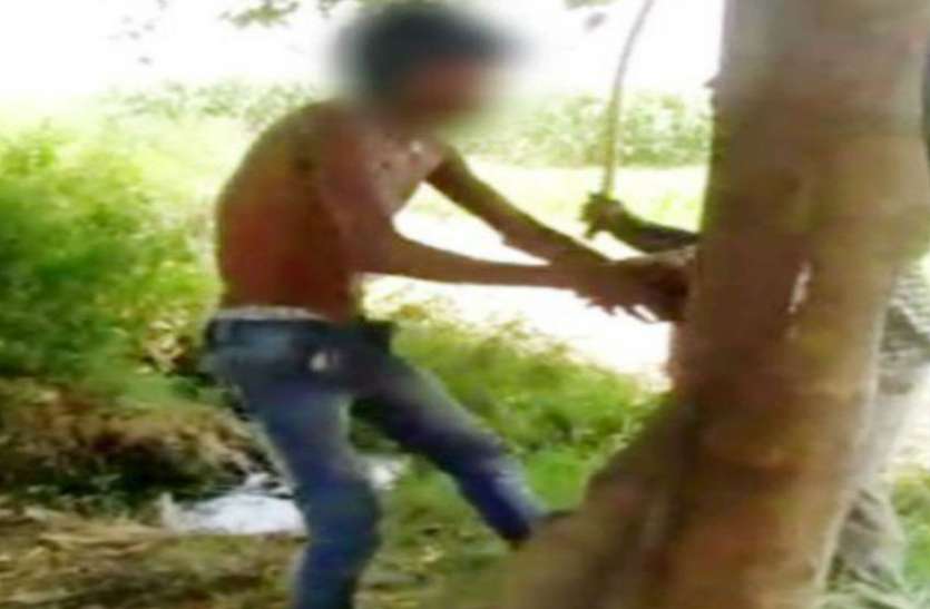 brutally beaten इतनी बेरहमी से पिटाई, दहल उठेगा आपका दिल, पेड़ से बांधा और फिर...