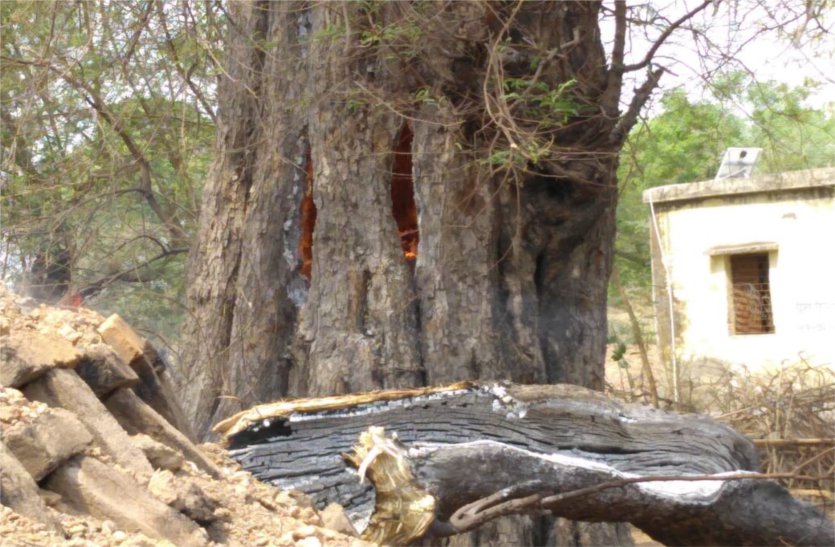 The brick kiln fire extinguished the flames of fire brigade यहां ईंट भट्टे से लगी आग को बुझाने दमकल की भी फूलीं सांसें