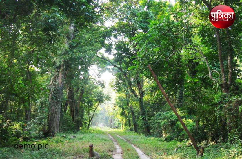 CG News गर्मी के दिनों में यहां एन्जॉय नहीं किया तो क्या किया, समर को बनाए यादगार