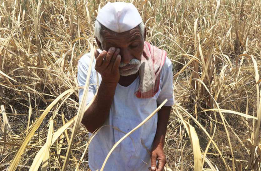 Submandi not made in Umeriyapan katni 2016 में उमरियापान उपमंडी बनाने हुई घोषणा, दो साल बाद भी अफसर नहीं करा पाए शिफ्ट, ये बन रही वजह