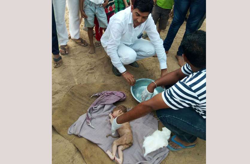 Newborn thrown in field सात घण्टे पूर्व जन्मी नवजात को सूने खेत में फेंका, ग्रामीणों ने बचाई जान