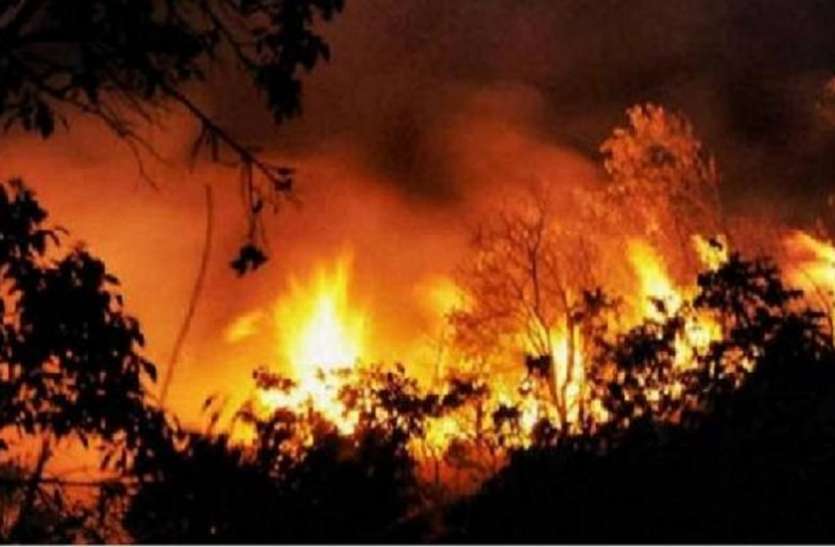 हिमाचल प्रदेश के जंगलों में फैली भीषण आग हिमचाल प्रदेश के जंगलों में फैली भीषण आग, पशु-पक्षियों के जीवन पर मंडराया संकट