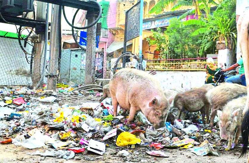 Alwar city news कथनी, करनी में भारी अंतर,करोड़ों खर्च करने के बाद भी शहर की सरकार नही सुधार सकी हालात