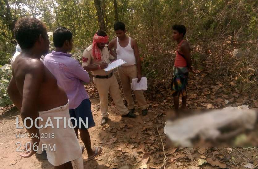 Elephant killed villager Breaking : तेंदूपत्ता तोड़ते जंगल में अचानक पड़ी ऐसी चीज पर नजर कि खड़े हो गए रोंगटे, बदहवास भागे घर