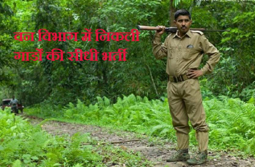 Forest Guard Recruitment 2018 वन विभाग में निकली गार्ड के हजारों पदों वाली सीधी भर्ती, यहां करें आवेदन