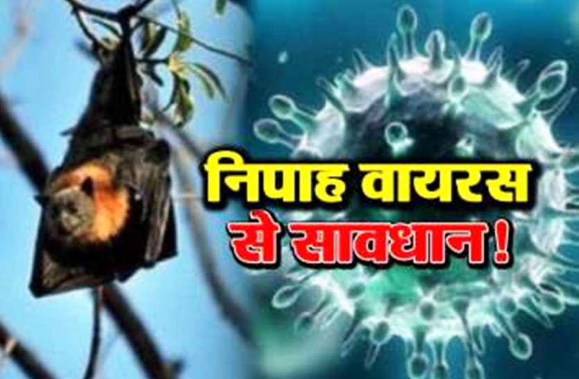केरल में मचा रहा कोहराम, कानपुर का स्वास्थ्य विभाग ने शुरू कर दिए निपटने के इंतजाम निपाह वायरस से डरा शहर,अर्लट पर उर्सला और हैलट