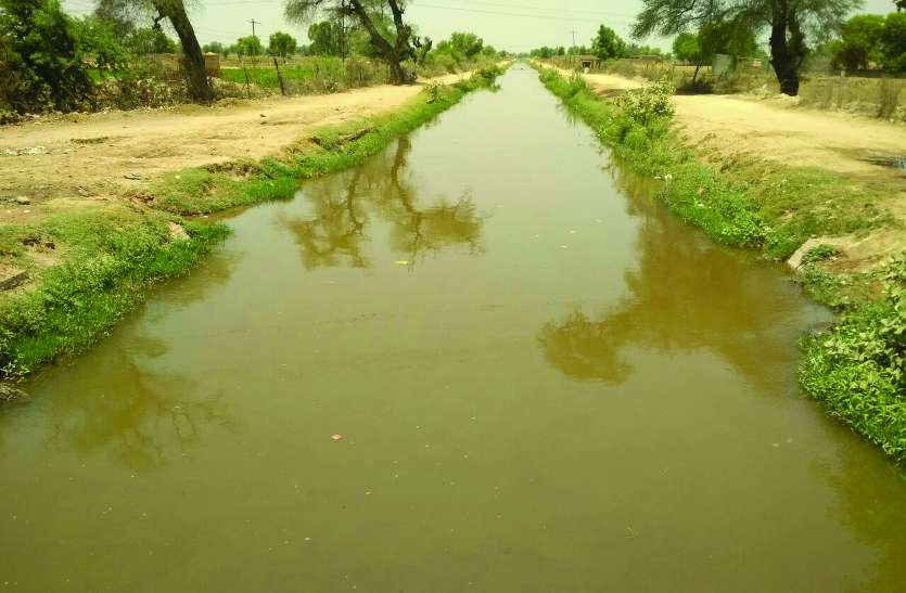 hanumangarh water cleaning problem Video: नहर मे अभी भी नही आ रहा साफ पानी, दूषित पानी भण्डारण पर ग्रामीणों ने उठाई अंगुली