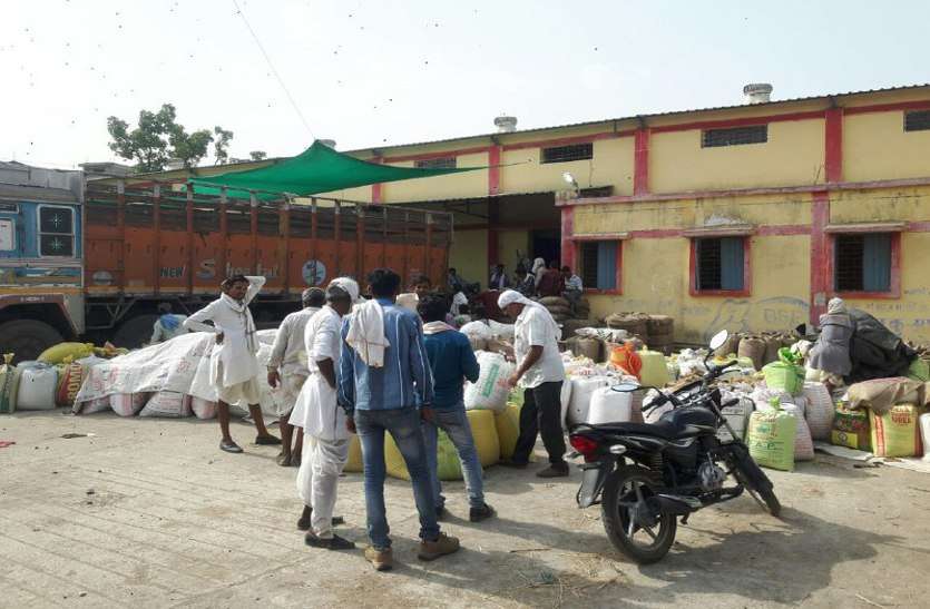 rajgarh, rajgarh news, rajgarh patrika, patrika news, patrika bhopal, bhopal mp, formar, channa tulai, समर्थन मूल्य पर खरीदी केंद्रों पर बढ़ाए तोल कांटे, अब नौ जून तक होगी खरीदी