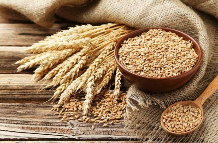 import duty on wheat किसानों को फायदा पहुंचाने के लिए पीएम मोदी का मास्टरस्ट्रोक, इस कदम से नहीं आ पाएगा विदेशी गेहूं