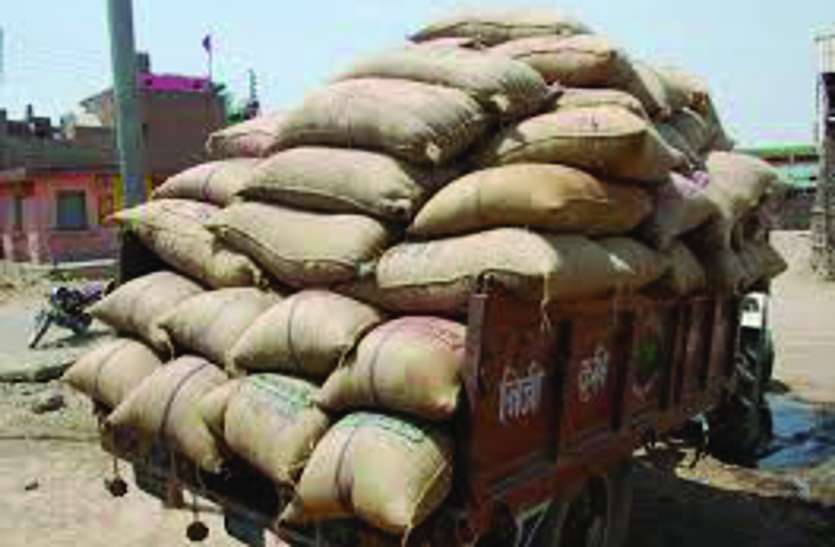 wheat theft two arrested गेहूं चोरी के आरोप में दो आरोपी ओर पकड़े, अब तक सात गिरफ्तार