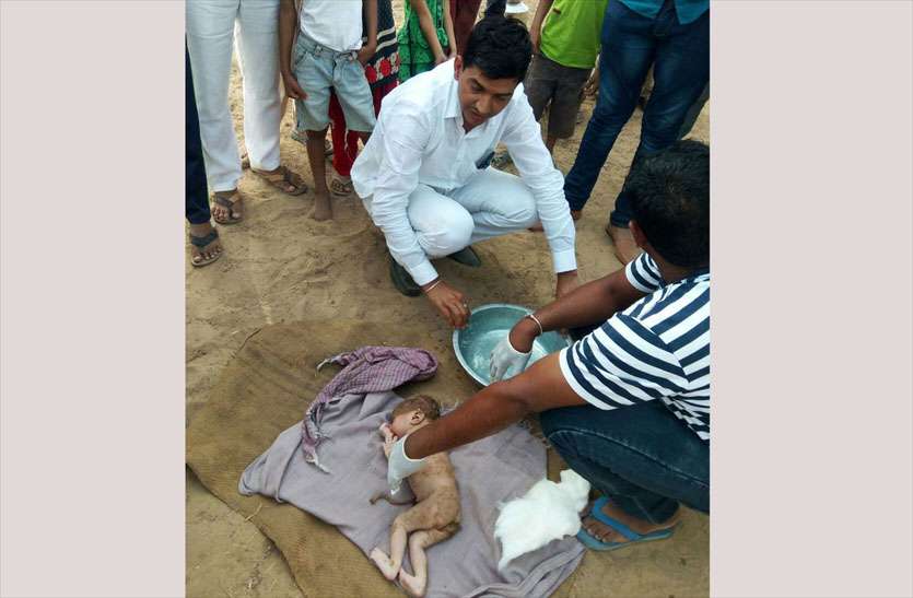 newborn thrown in farm वारदात के खुलासे की बजाय चिकित्सा विभाग ने बंद किए दरवाजे, उठ रहे कई सवाल