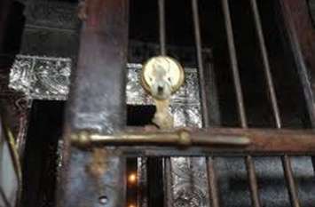 theft in temple theft in temple