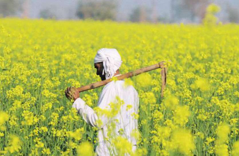 Farmer Letest News In Hindi Neemuch अन्नदाता के लिए अब भी गले की फांस बनी हुई है यह समस्या