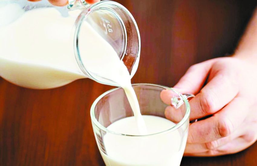 World Milk Day Story Milk Benefits World Milk Day दिल जवां रखना है तो रोज पिएं एक गिलास दूध 7389