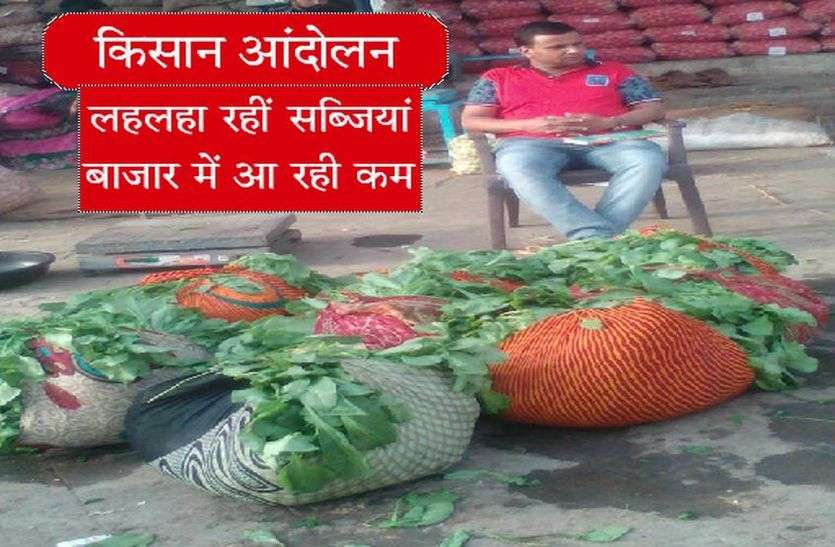 Kisan Aandolan किसान आंदोलन- लहलहा रही सब्जियां, बाजार में आ रही कम