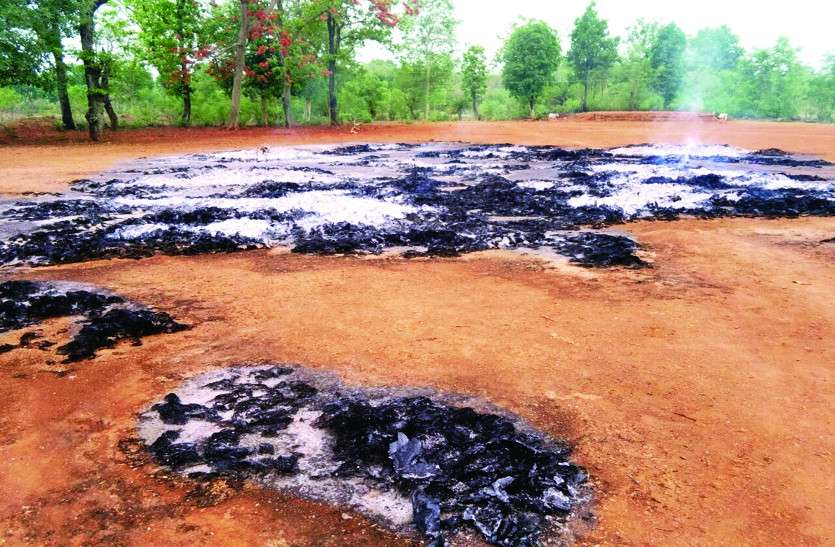 chhattisgarh news अज्ञात लोगों ने 549 बोरा तेंदूपत्ता को किया आग के हवाले, विभाग को लगी साढ़े 13 लाख की चपत