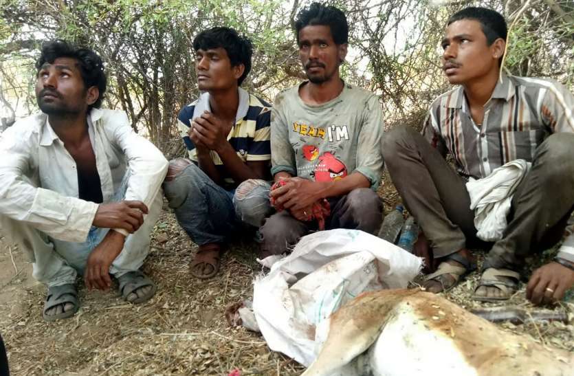 Hunting deer Five accused arrested हिरण का शिकार कर उसे पकाने की थी तैयारी, तभी हुआ कुछ एेसा कि...