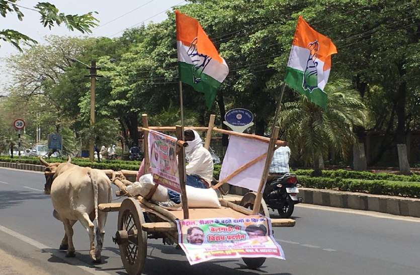 congress bailgadi yatra LIVE: बैलगाड़ी यात्रा निकालकर कांग्रेस ने किया पेट्रोल-डीजल के बढ़ते दामों का विरोध - Video Also