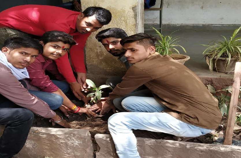 world enviroment day, celebration, patrika news, patrika bhopal, bhopal mp, raisen news, raisen patrika, छात्रों ने पौधे रोपकर दिया हरियाली का संदेश