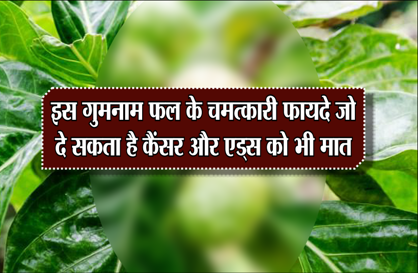 cancer इस गुमनाम फल के चमत्कारी फायदे जो दे सकता है कैंसर और एड्स को भी मात