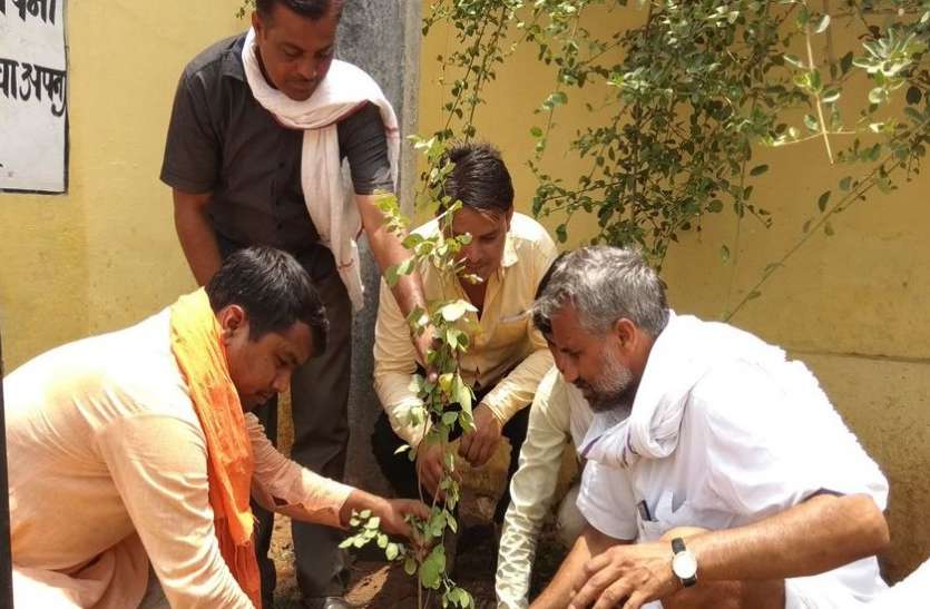 bjp-planted-plants भाजपाइयों ने लगाए पौधे